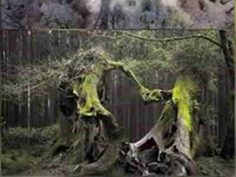 Paranormal Românesc – Mistere și Legende din Transilvania